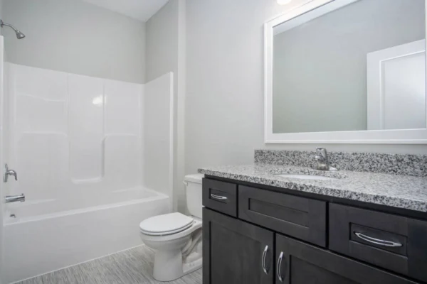 DSC07389 A modern bathroom with a white bathtub and shower combination, a toilet, a large granite countertop, and a frameless mirror above the sink. The walls are light gray, and the cabinetry is dark gray.